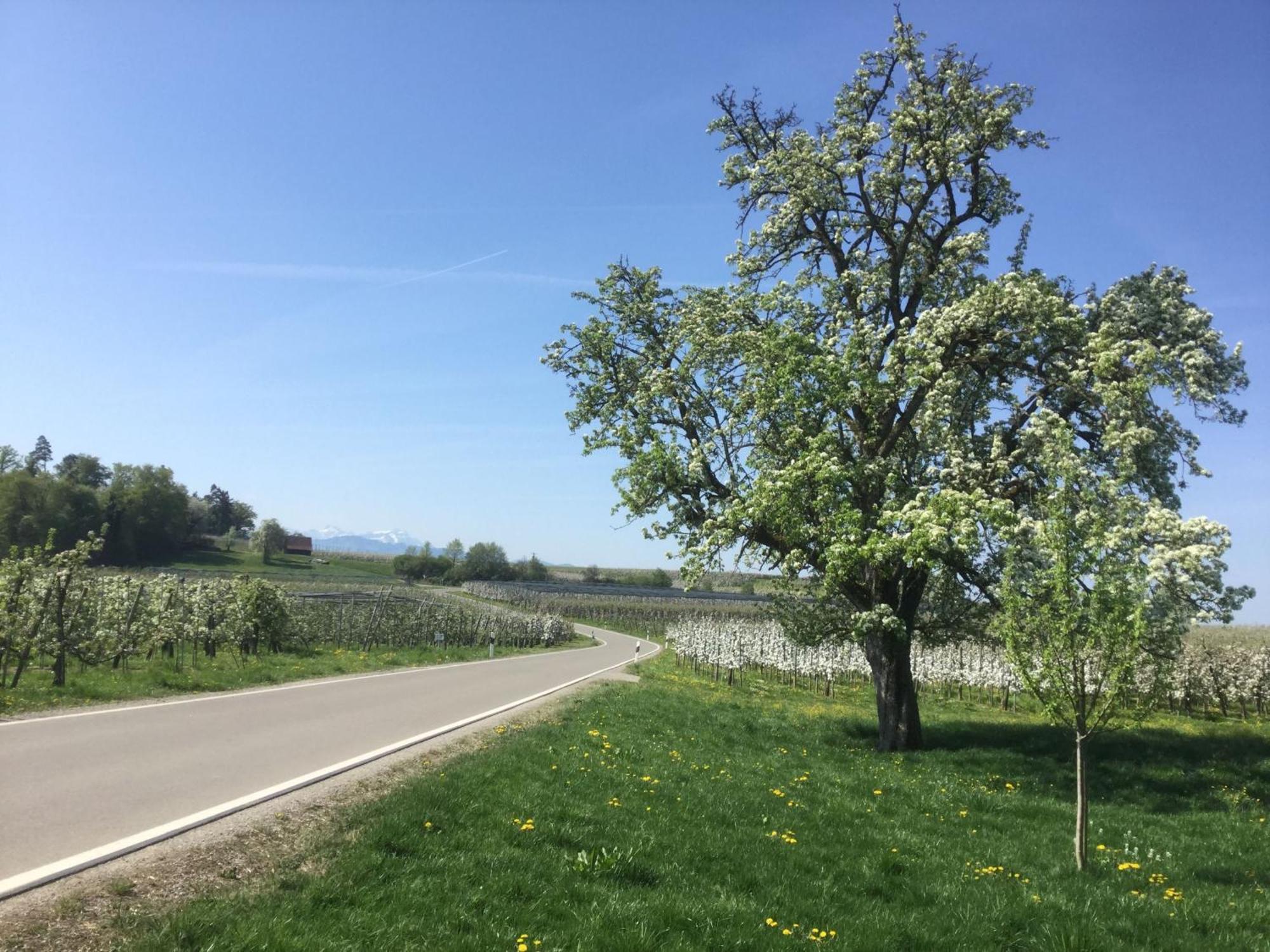 Maisonette Am See 노넨혼 외부 사진