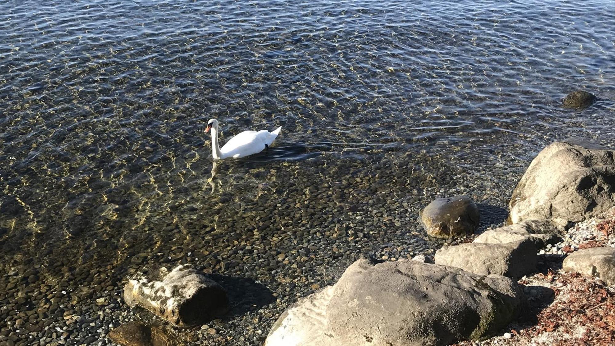 Maisonette Am See 노넨혼 외부 사진